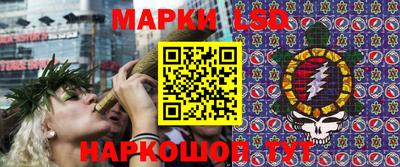 ГАЛЛЮЦИНОГЕННЫЕ ГРИБЫ Нальчик