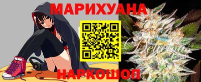 сатива Моздок