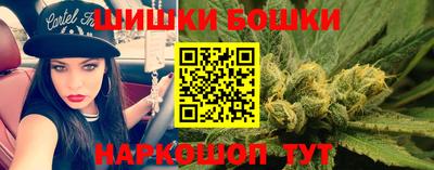 сатива Моздок