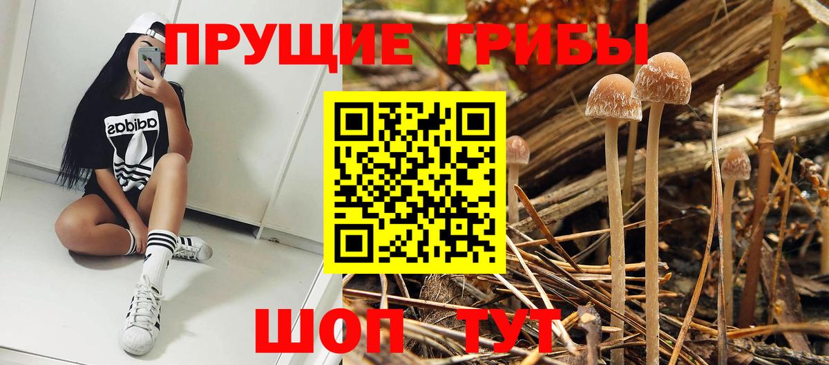 Псилоцибиновые грибы мицелий Ульяновск