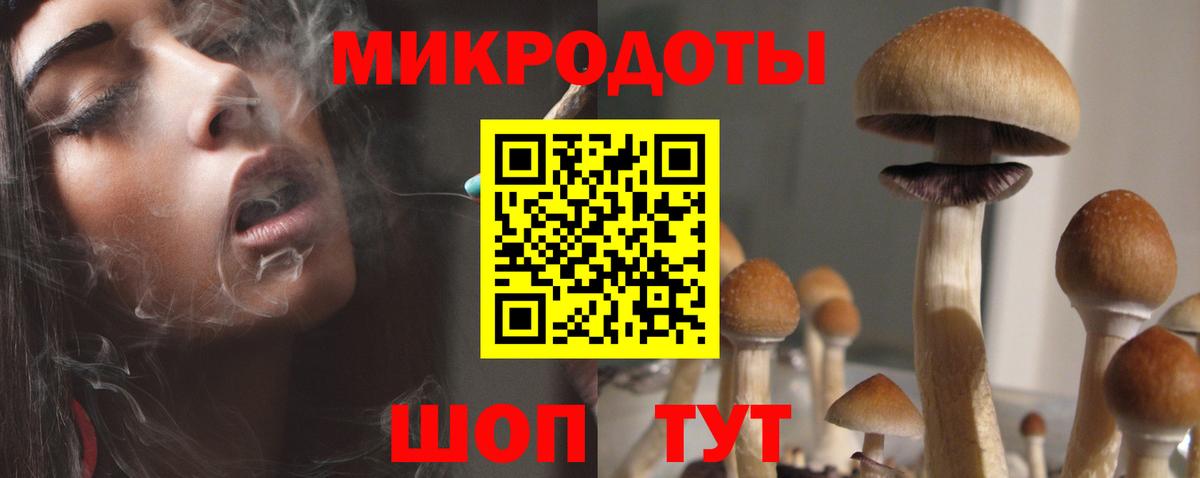 Ульяновск  Псилоцибиновые грибы мицелий  Галлюциногенные грибы ЛСД  Вход с VPN 